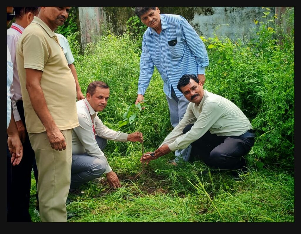 देवकी देवी टी०सी० ट्रस्ट और उत्तराखंड पोस्ट ऑफिस कर्मचारियों ने मिलकर मनाया ‘हरेला पर्व’, किया वृहद वृक्षारोपण