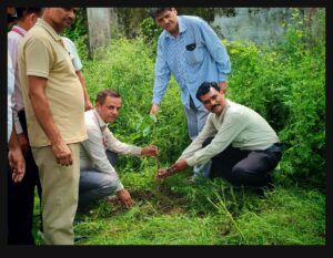 देवकी देवी टी०सी० ट्रस्ट और उत्तराखंड पोस्ट ऑफिस कर्मचारियों ने मिलकर मनाया 'हरेला पर्व', किया वृहद वृक्षारोपण